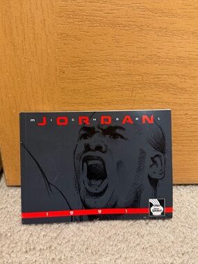 Vintage 1991 Illinois Lottery Michael Jordan flip calendar